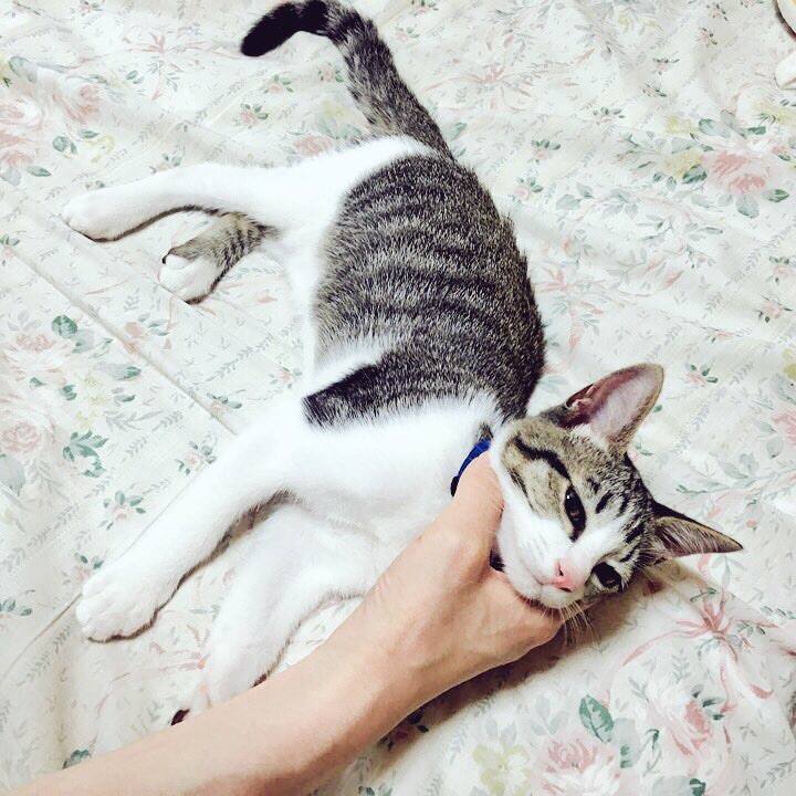 F5e55ebf 116f 43f3 87ba e6398ad1f933