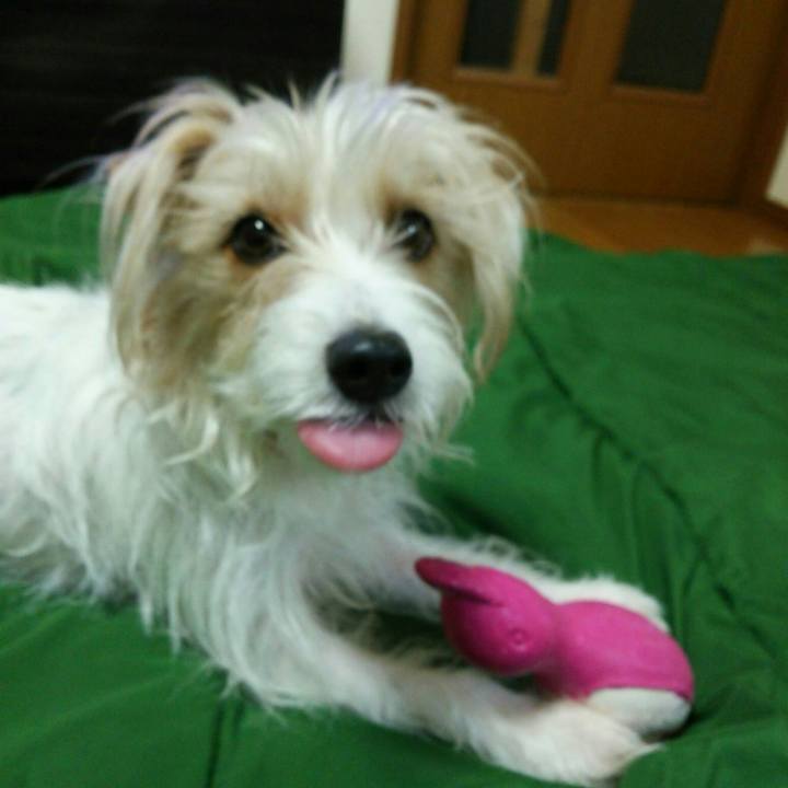 F5e568d4 f7f6 4c87 8638 0925624916d0