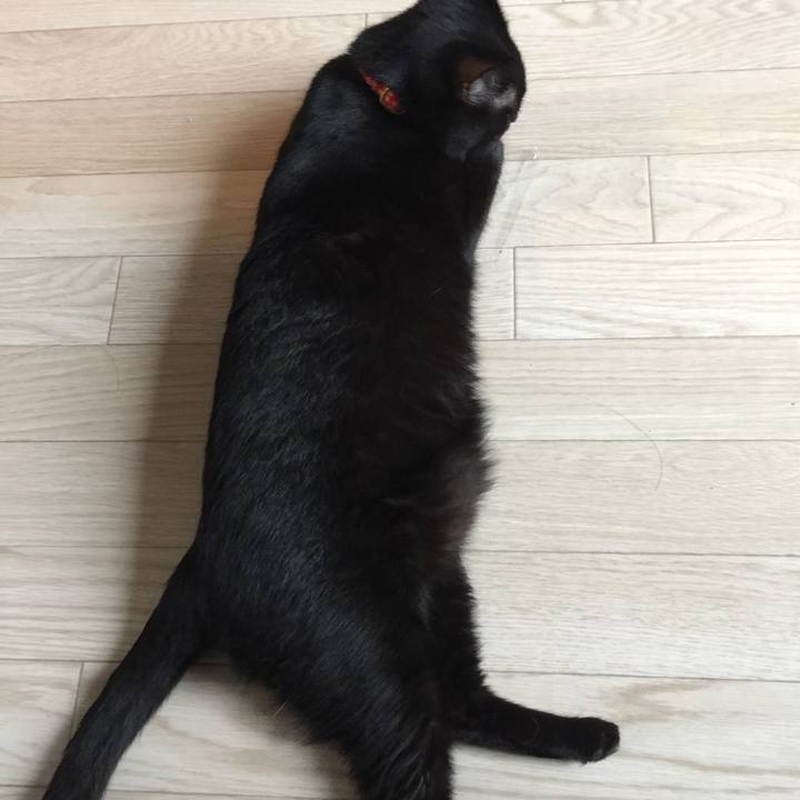 F5e569c7 8c5c 4af0 8e55 264932a396e4