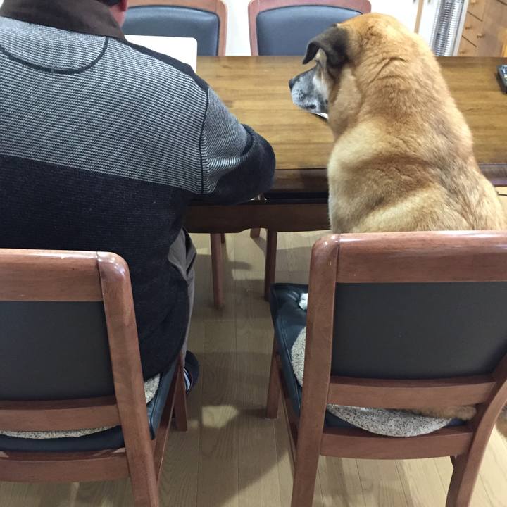 F5e5adbe d4fc 4a02 9c28 4139bf405b0c