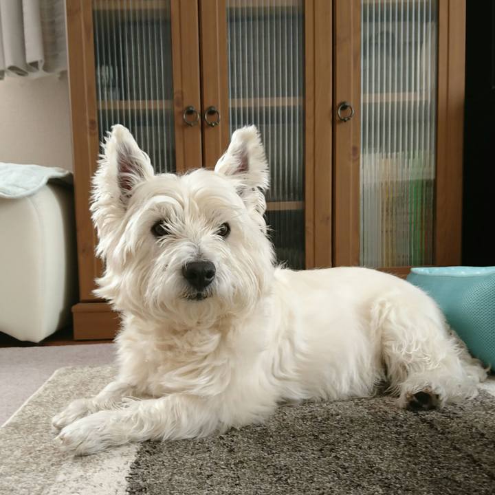 F5e60972 aac1 4782 abc1 3d460e5b9dff