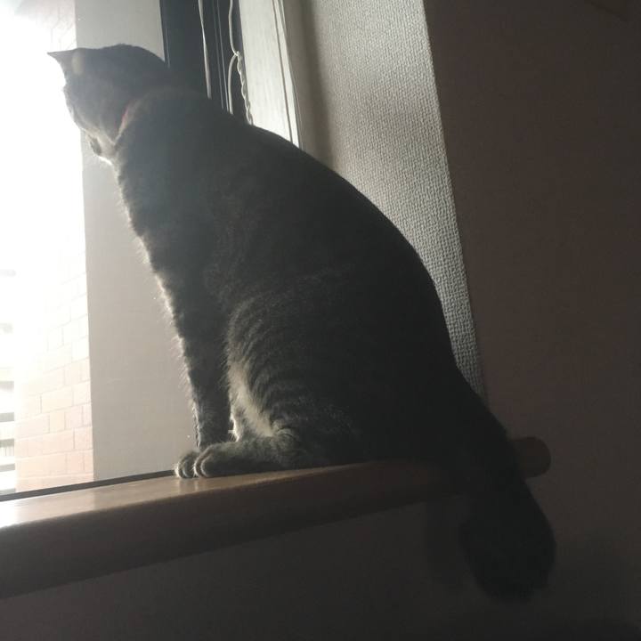 F5e63fa2 319a 46d9 a13c cbcd62b05597