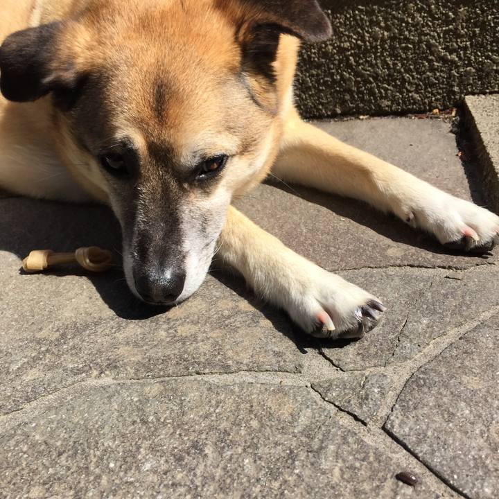 F5e6709c d213 43d3 91c8 06fd23541b72