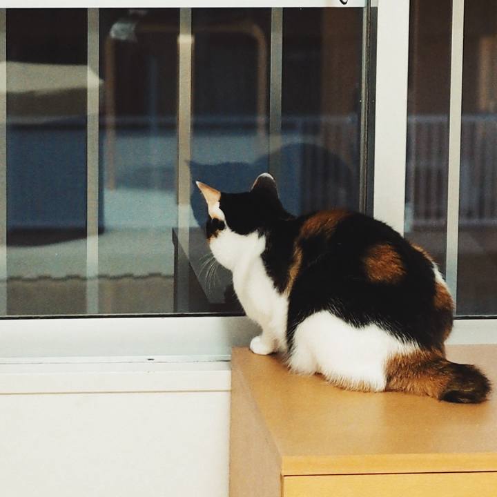 F5e6c42c 97bb 4c14 b639 48105525a848