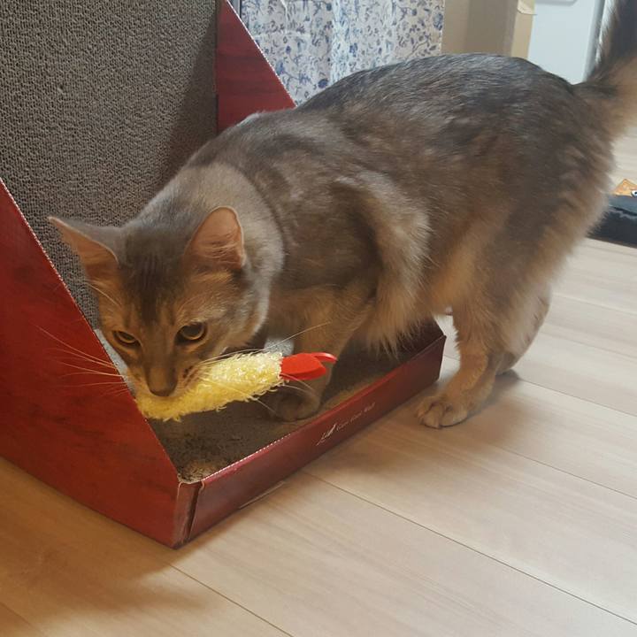 F5e6c6f1 3b1c 4fef a6d6 777c66605806