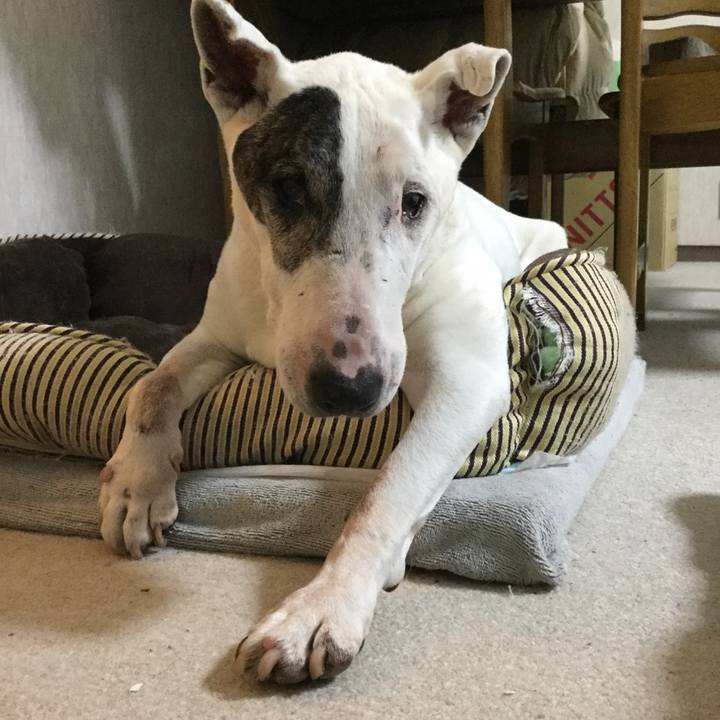 F5e75a0f f8d0 459e 91e4 d0630471c937