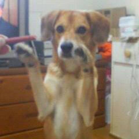 F5e7bed1 b97f 497f af71 5ad2de8eb5e4