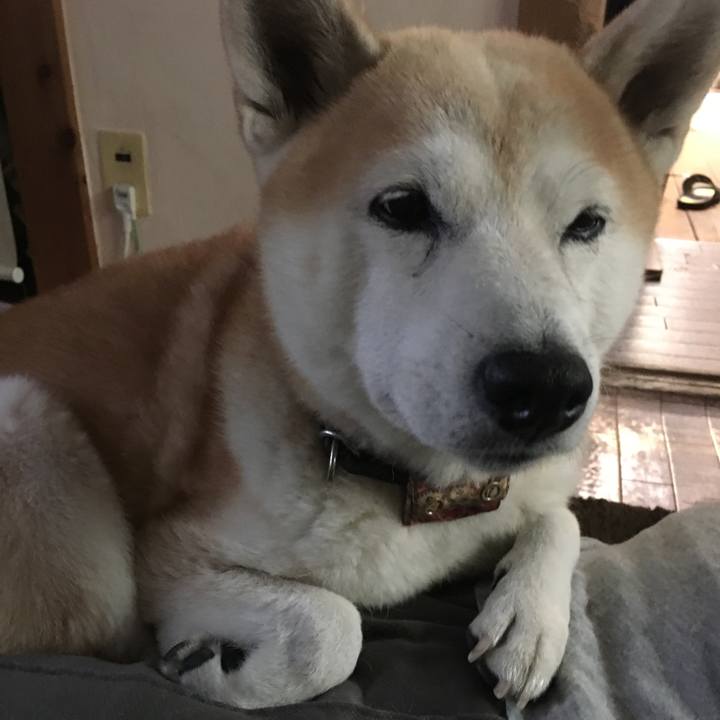 F5e80a51 41ab 434a 8c80 9728007ad3c4