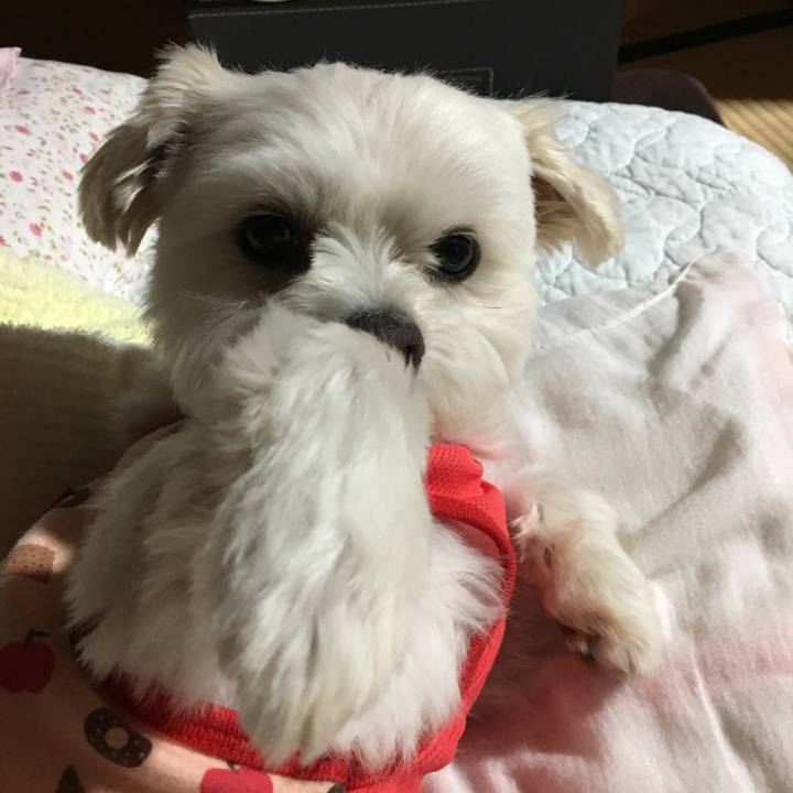 F5e8f308 d8c0 4256 a23e 7565b5db3278