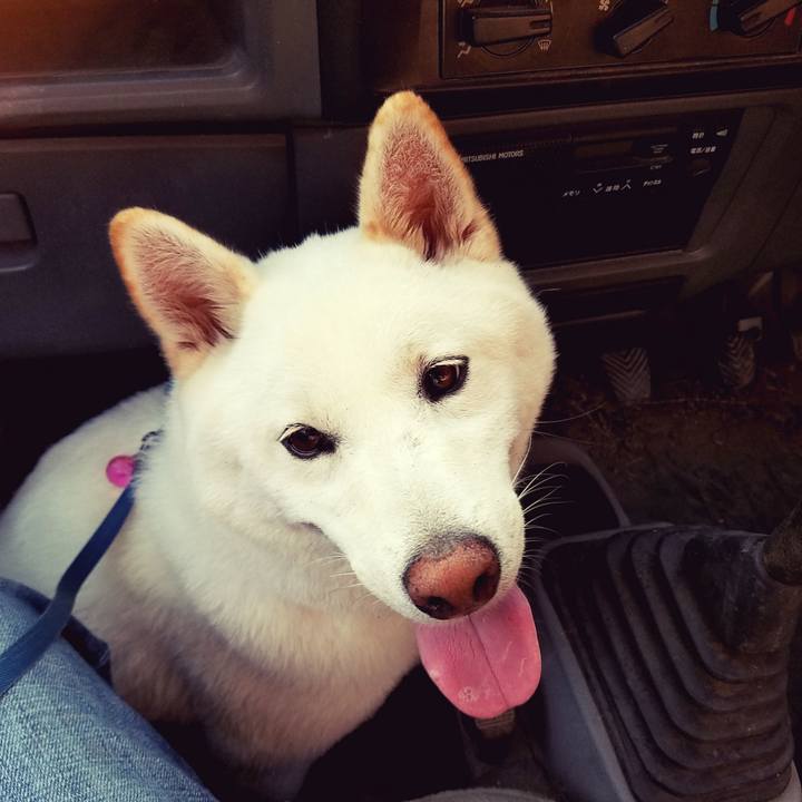 F5e952ca 1607 4aee 9f4b 780edca12d51