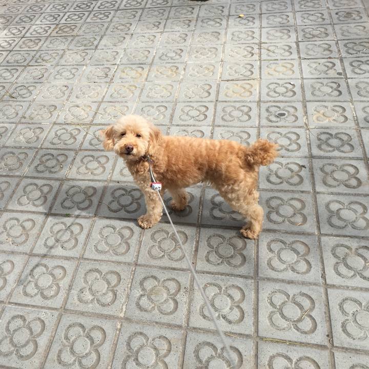 F5ea6534 c52f 4070 829a 3b4520b54590