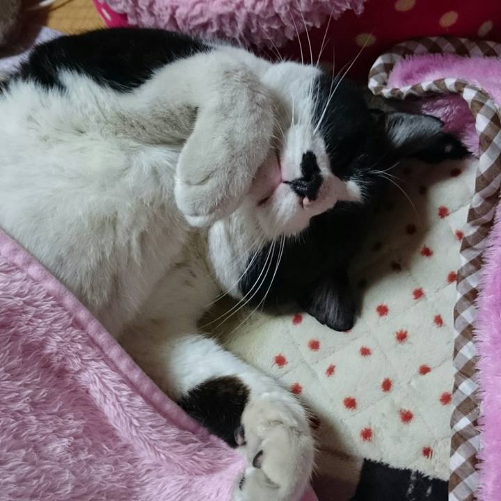 F5ea824f 03ca 4d3b 8b40 3303398ae5ca