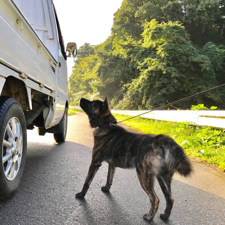 F5eac33f 4125 4b57 8cb7 6031f118eac3