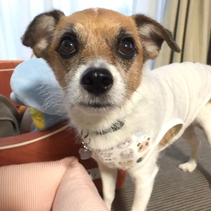 F5ebdd2d 88ee 4809 a9cf 12434793f3d8