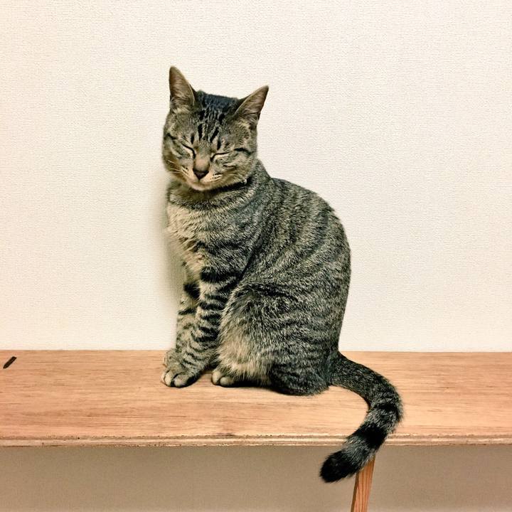 F5ebe569 114b 4772 811e 02d87c17862e