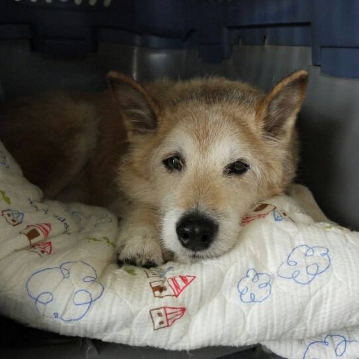 F5ec07e5 b098 4969 8840 05e54a6d7c0f