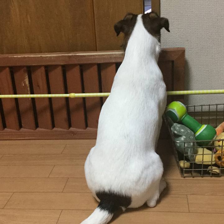 F5ec360e b9ee 4975 aaf1 1181b7392232