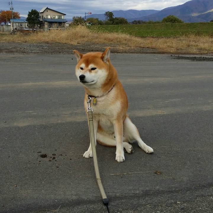 F5ec7df5 34b1 4647 8ff2 60273456299b