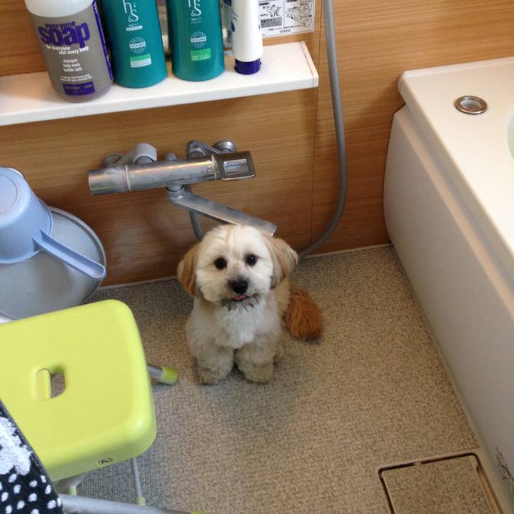 F5eca290 5c3e 4fd6 8c54 7d7826f27de0