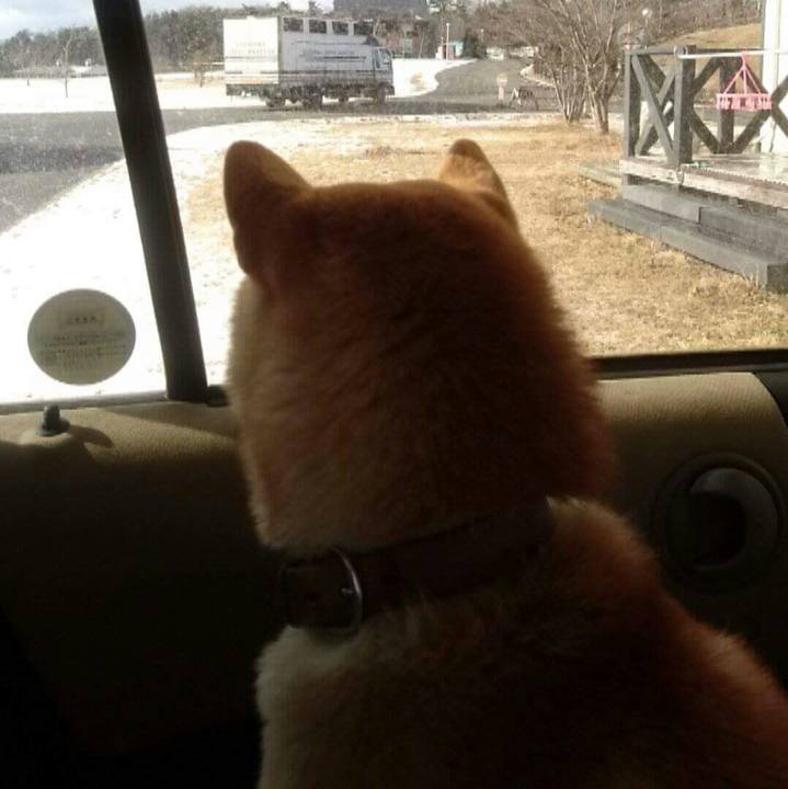 F5ece0b0 9571 4c6f b47c 6ee7ec808fc1