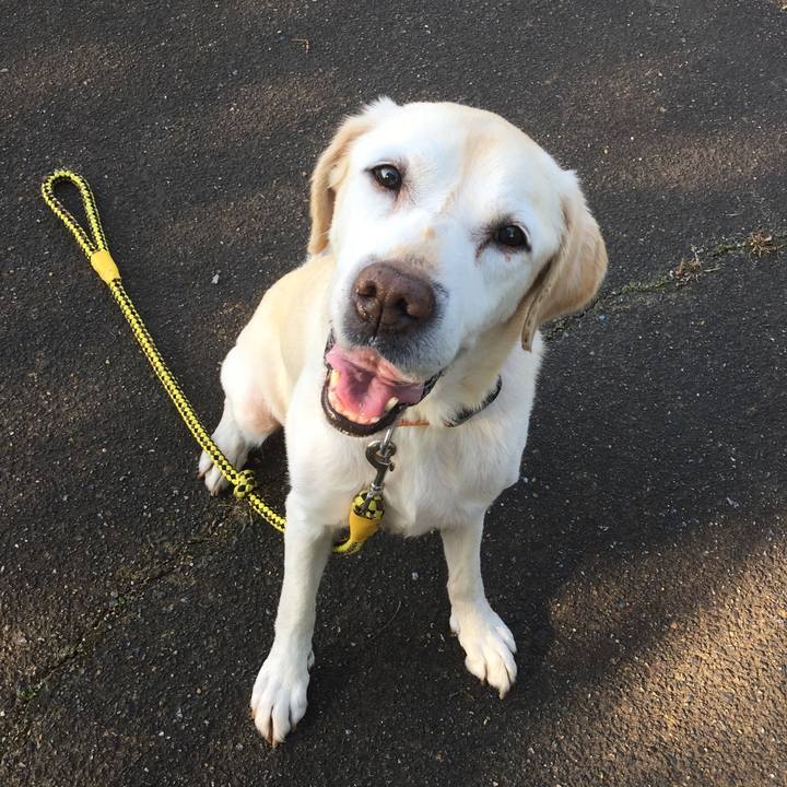 F5ecf89c 9721 47c2 b9fb 62a5976e76e1