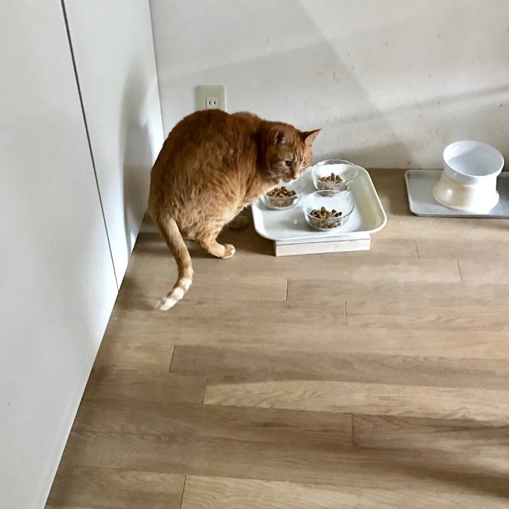 F5ed17d3 db58 4a43 bf32 fe2f2faafecc