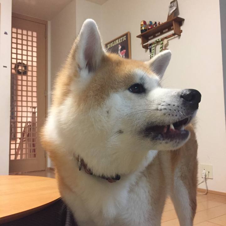 F5ed1b5a 5f45 4a35 821a fb759449ea8b