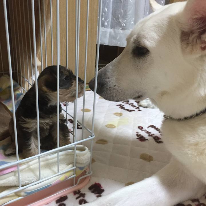 F5ed98cb 1908 44e4 b81a cbb1d1b172f0