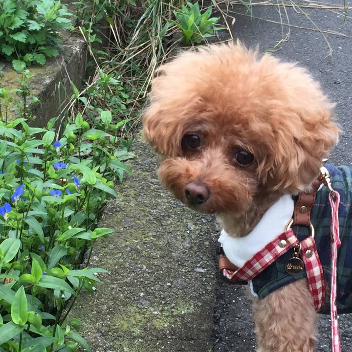 F5edc335 d7a4 4fc9 a047 b6d14f98361d