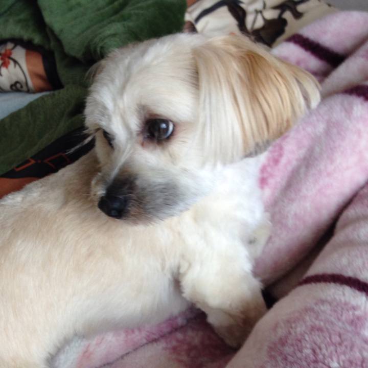 F5ee47bb d07c 4d32 a623 8de25fa6b327