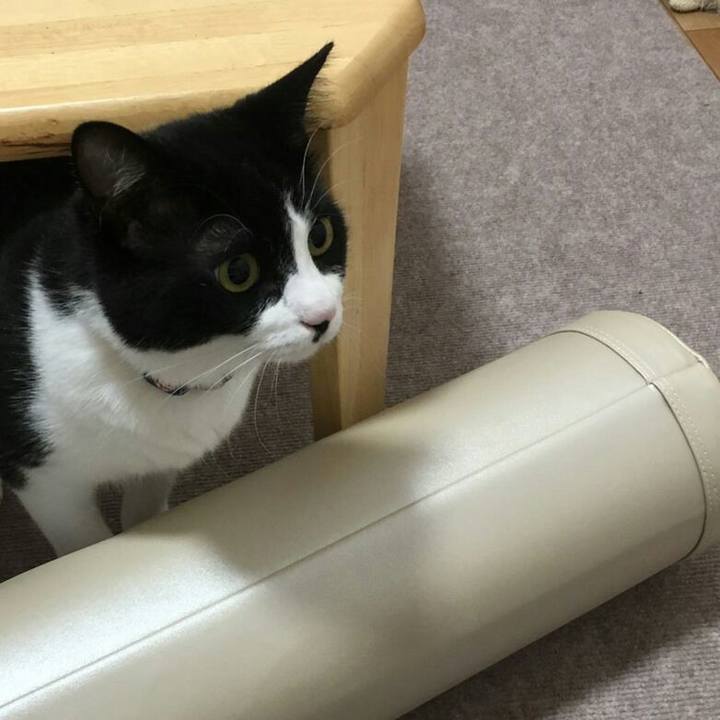 F5eeb18f c12f 40cf b87c 412e77291c71