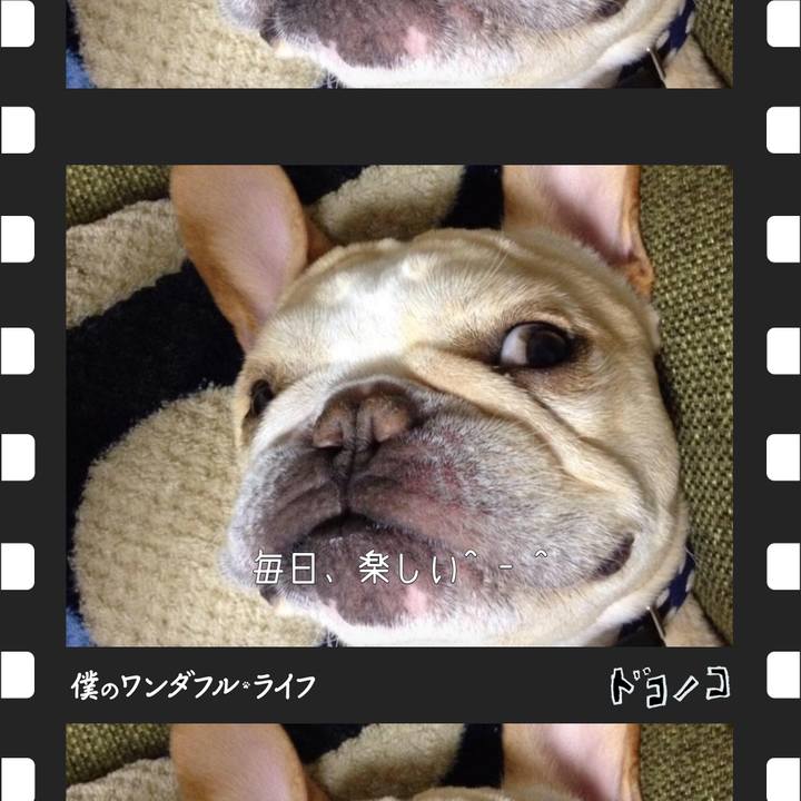 F5eefe41 1305 4ca2 af11 7b85b4fab7d5