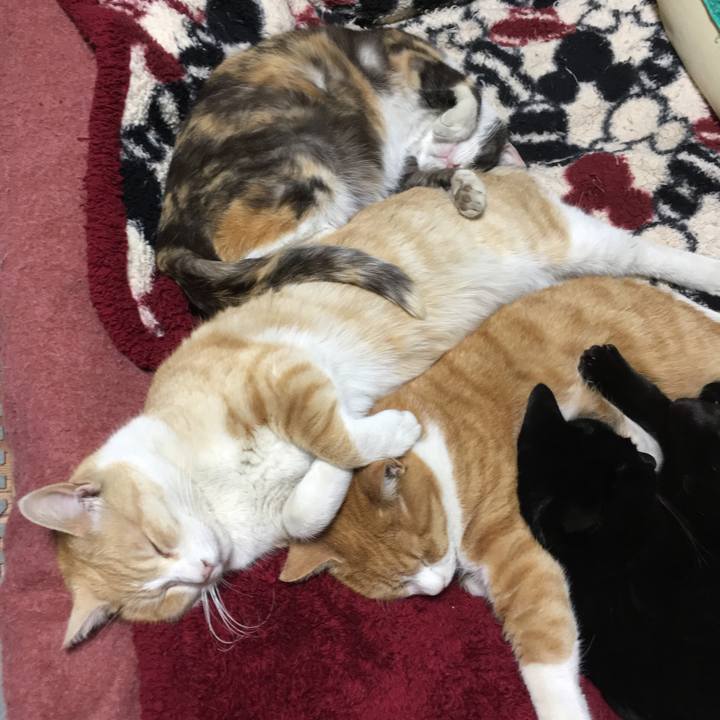 F5ef3f9c 166f 469a afc5 9c20cb120fd4