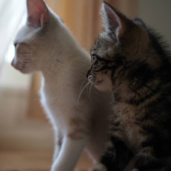 F5ef7f1e 0e8a 4003 bfb4 cd8cb5f49068