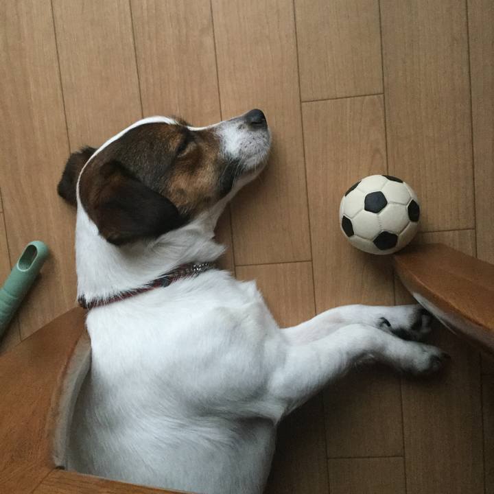 F5f01dfe 8f7e 4222 a721 5708703baf4f