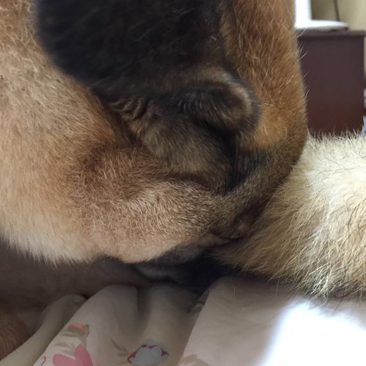 F5f15f9f 67f5 479d bb32 cca9e0671ef4