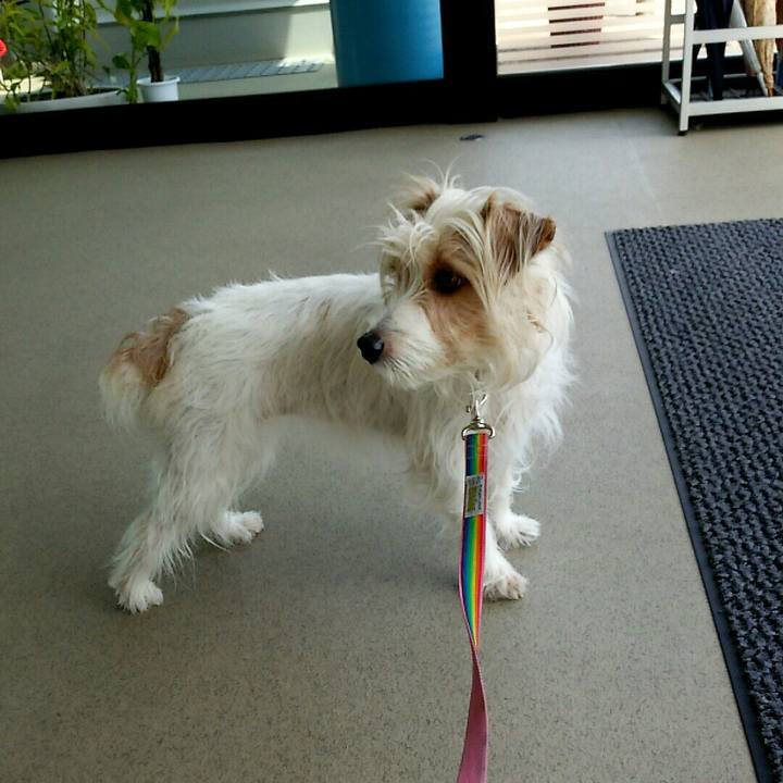 F5f17b90 ea62 43b7 bb14 649c52a774f6