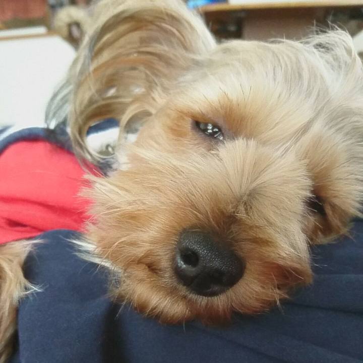 F5f2d2e8 38d7 4d2b ac03 f6fce6249955