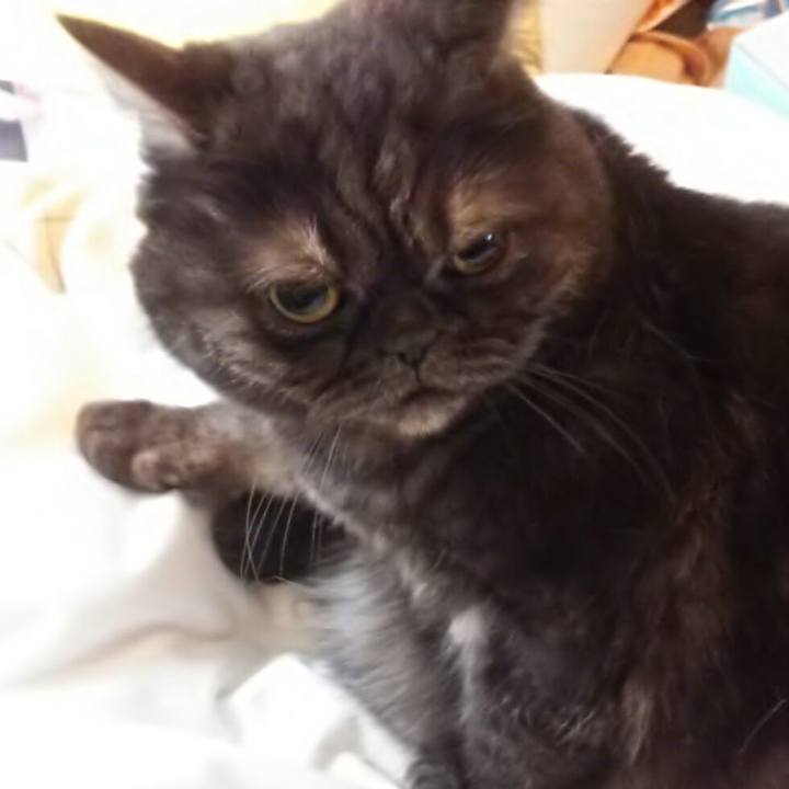 F5f2d67b 50f0 43ec 8c6d 5687dd84485c