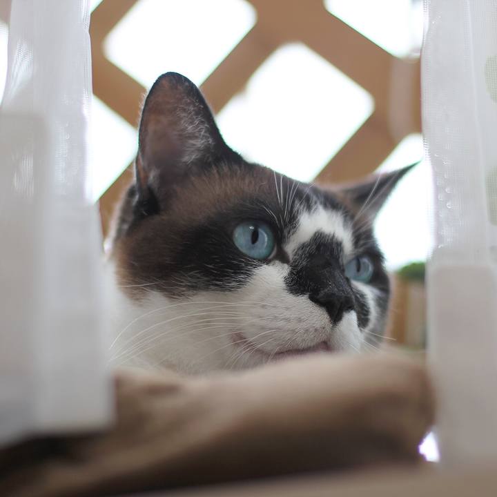 F5f2eaaa b2f2 40b7 a29d 5ae39a9e5724