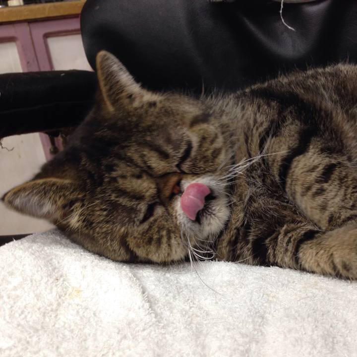 F5f2fdf2 6dae 4833 a130 20e2ec484dea