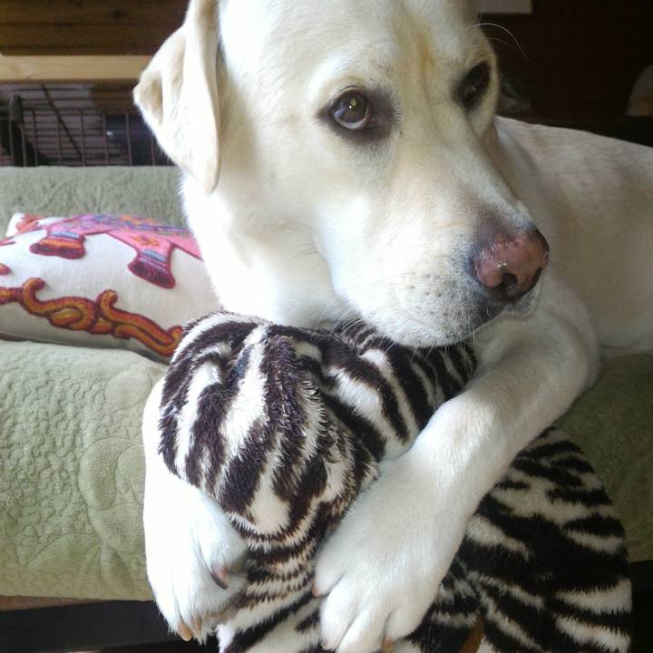 F5f31eee bc14 430f b006 7d99be496ab9