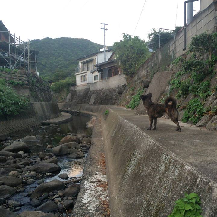 F5f31fdf 6c9d 4d60 a47c 2eba69e3f0e2