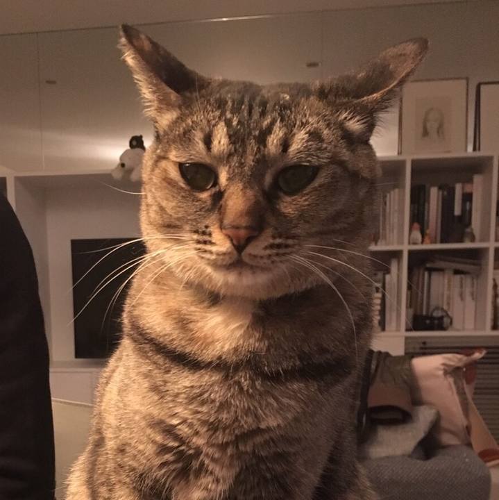 F5f329c4 7ba4 4917 a712 5dff33302909