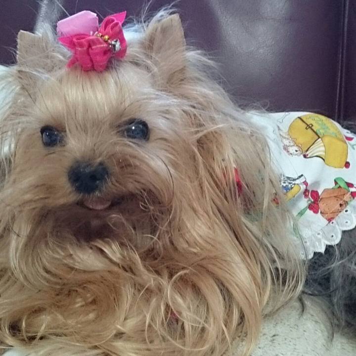 F5f3a743 6acf 4197 96f2 3651aff91d38