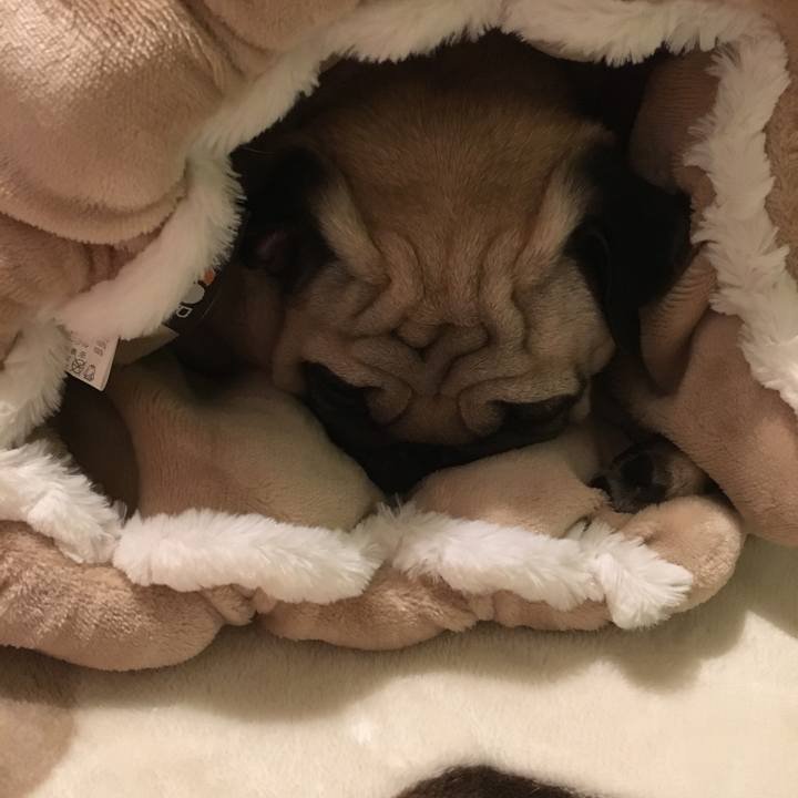 F5f3ddf0 986c 4847 b175 a222ae039406