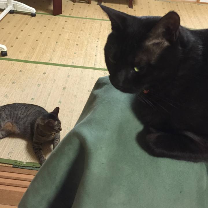 F5f4070e eb56 4d47 92ba cc4d9c06db27