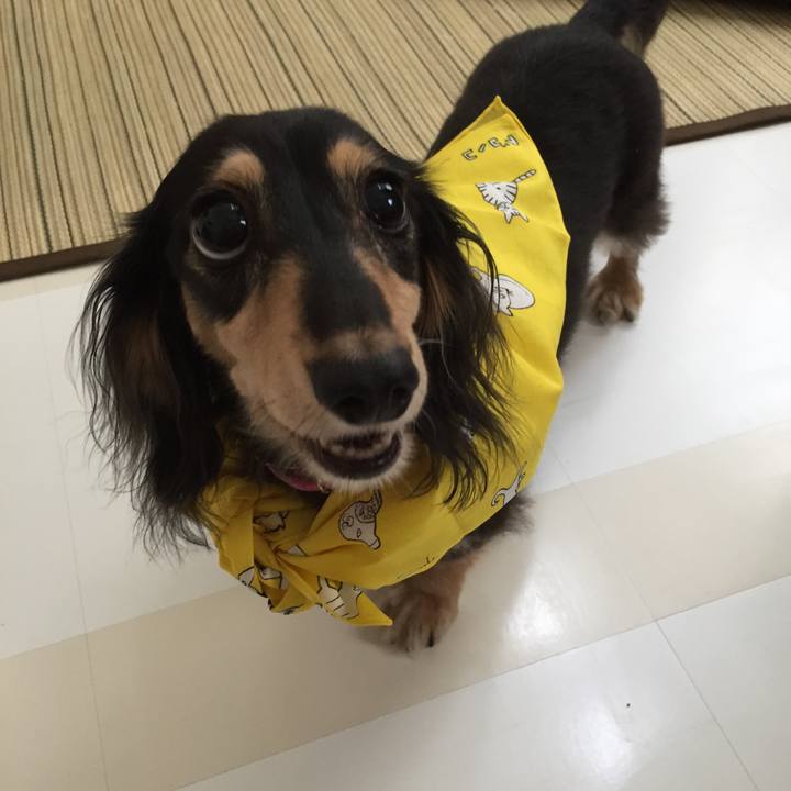 F5f43867 6b8f 4fcf bc82 363e28052f0c