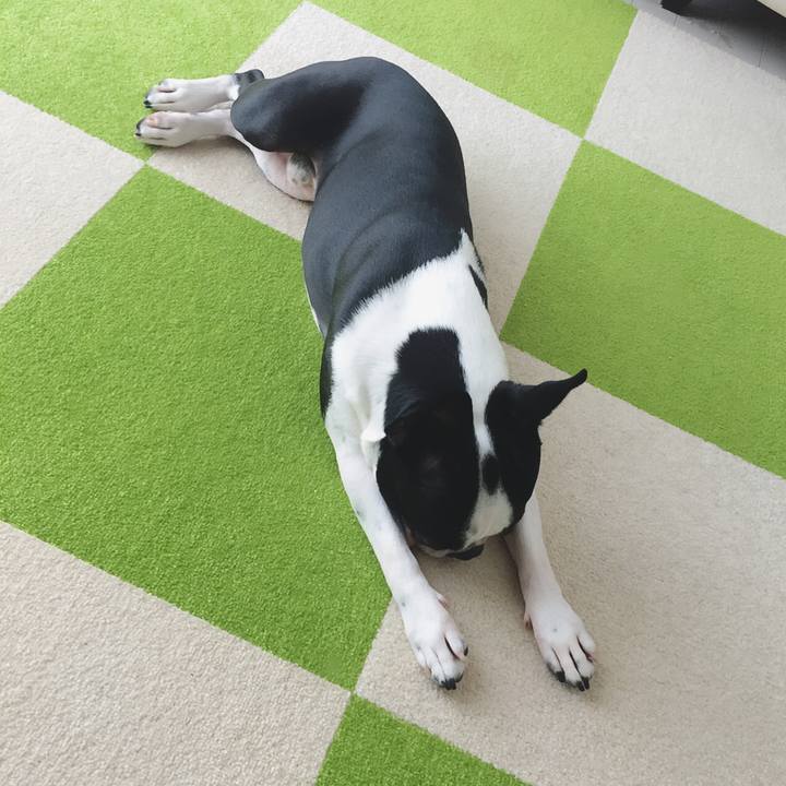 F5f54074 e896 4c5c a5ac 20c762595d56