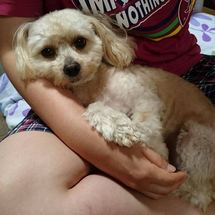 F5f54e32 ef75 4e5a 9716 bf6e289c10a8